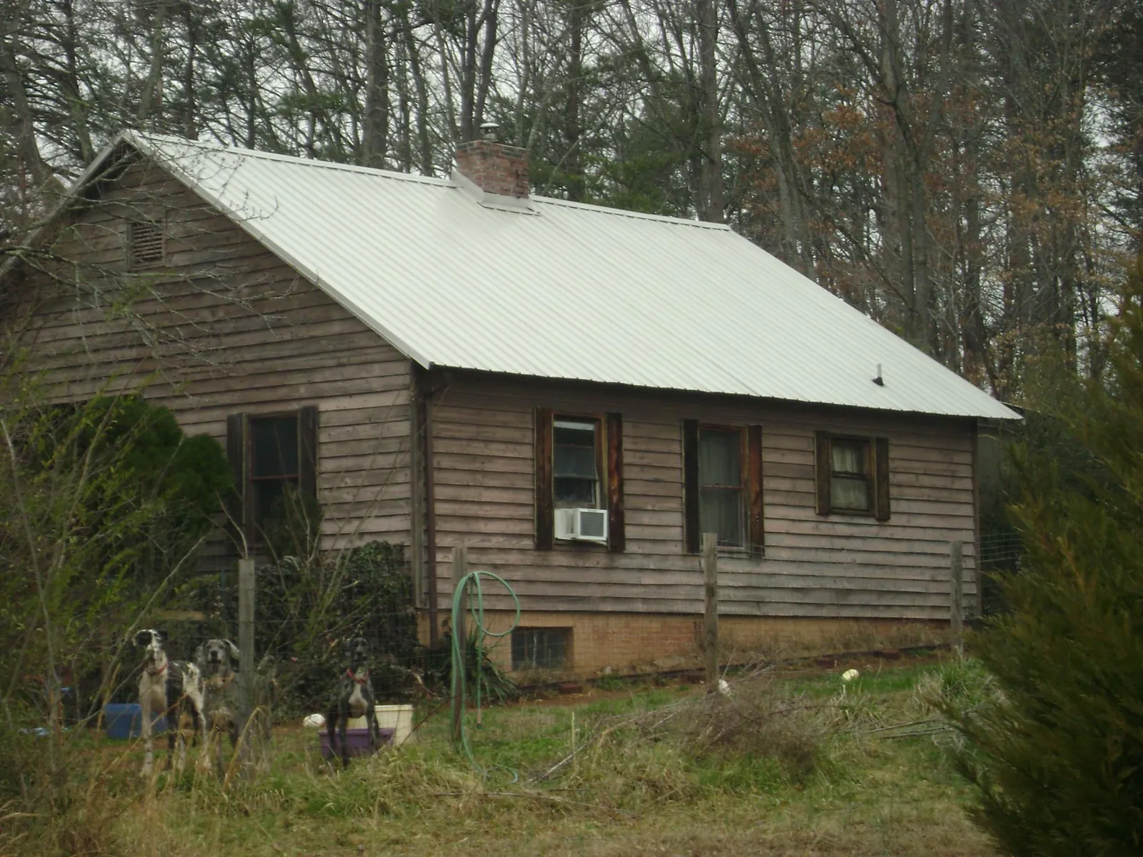 White metal roof on an old wood sided farmhouse, from a Metal Roof Installation job in Mulga